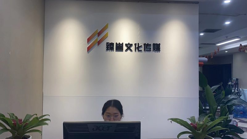 品牌设计公司的成功案例类型多样，以下列举几种常见类型及其特点：